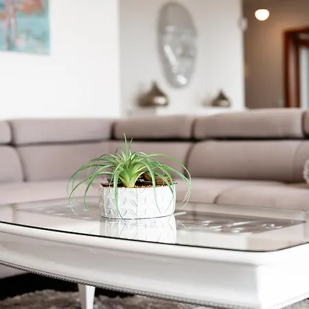 ヴィラ Casas Do Massapez B カリェタ